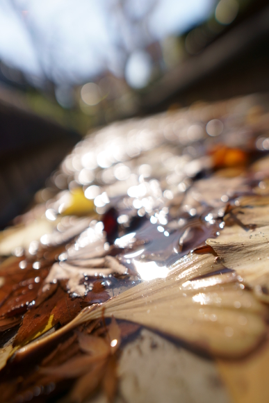 交換レンズレビュー Sigma 16mm F1 4 Dc Dn Contemporary デジカメ Watch