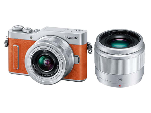 パナソニック、自分撮り機能充実のミラーレスカメラ「LUMIX GF10/GF90