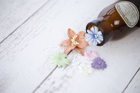 ミーナ テーブルフォトが映える小物セットを発売 デジカメ Watch