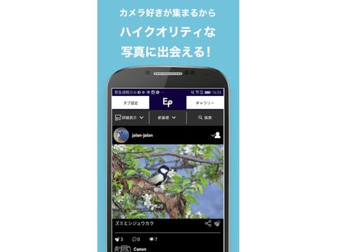 写真共有サイト Everybody Photographer Com のandroidアプリ デジカメ Watch