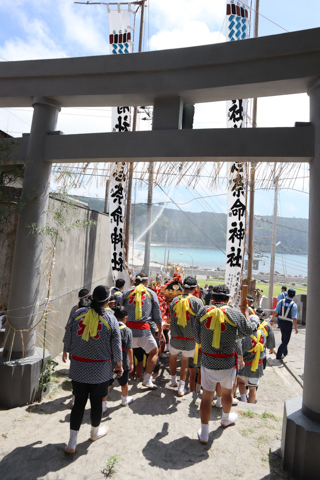 カメラ旅女の全国ネコ島めぐり ネコと祭りに心ときめく 神の集まる島へ 神津島 前半 デジカメ Watch