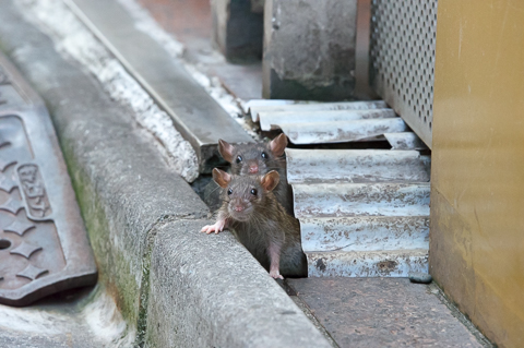 原啓義写真展 そこに生きる デジカメ Watch