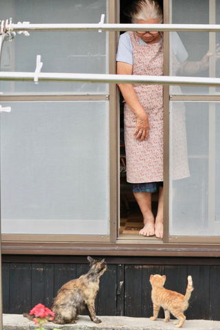 カメラ旅女の全国ネコ島めぐり 三河湾に浮かぶアートとネコと ばあちゃんの島へ 佐久島 前半 デジカメ Watch