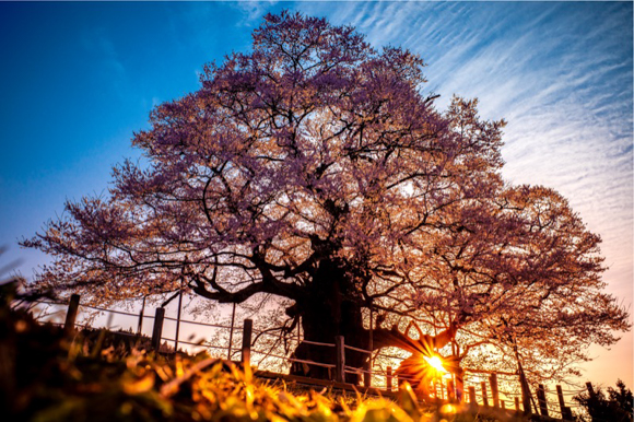 Gr写真家インタビュー 撮る目線を新たにしてくれる 自分にとっての デトックス カメラ 風景写真家 木村琢磨さん デジカメ Watch