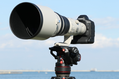 新製品レビュー：Canon EOS-1D X Mark III（航空機編） - デジカメ Watch