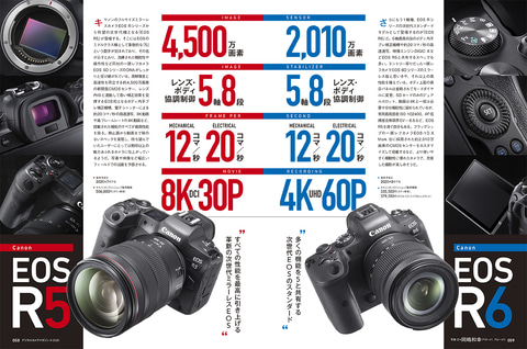 vistek canon r6