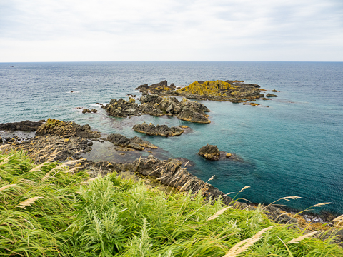 特別企画 北端の離島 利尻島 礼文島を撮影する 後編 デジカメ Watch