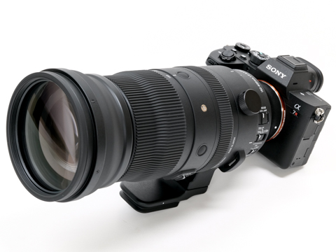 SIGMA 150-600 DG DN OS Sports sony  E気になる方はお控えください