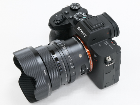 SIGMA Contemporary 24mm F2 DGDN ソニーE用 | labiela.com