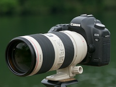 交換レンズ実写ギャラリー：キヤノン「EF 70-200mm F2.8 L IS II USM」 - デジカメ Watch