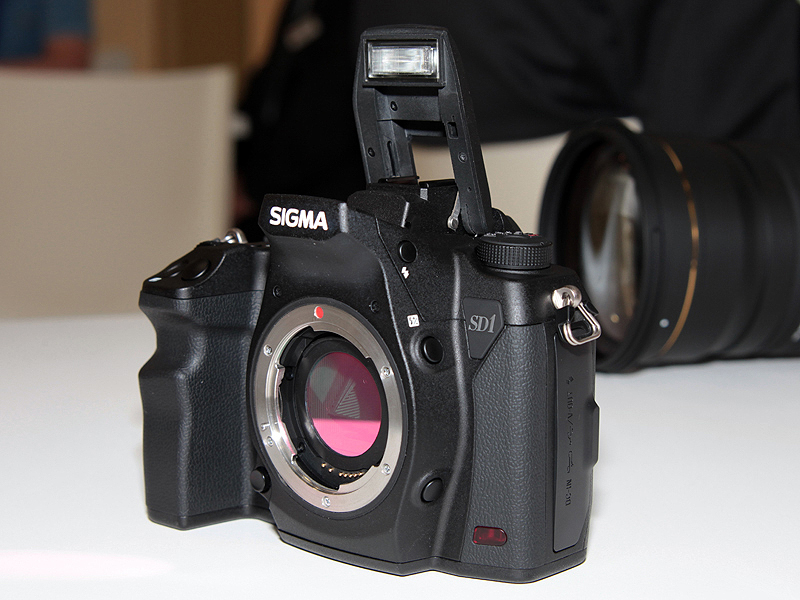 SD1 image samples and more camera image!: Sigma Camera Talk Forum ...