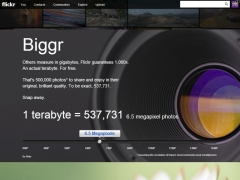 画像共有サイト Flickr の保存容量が無料で1tbに デジカメ Watch Watch