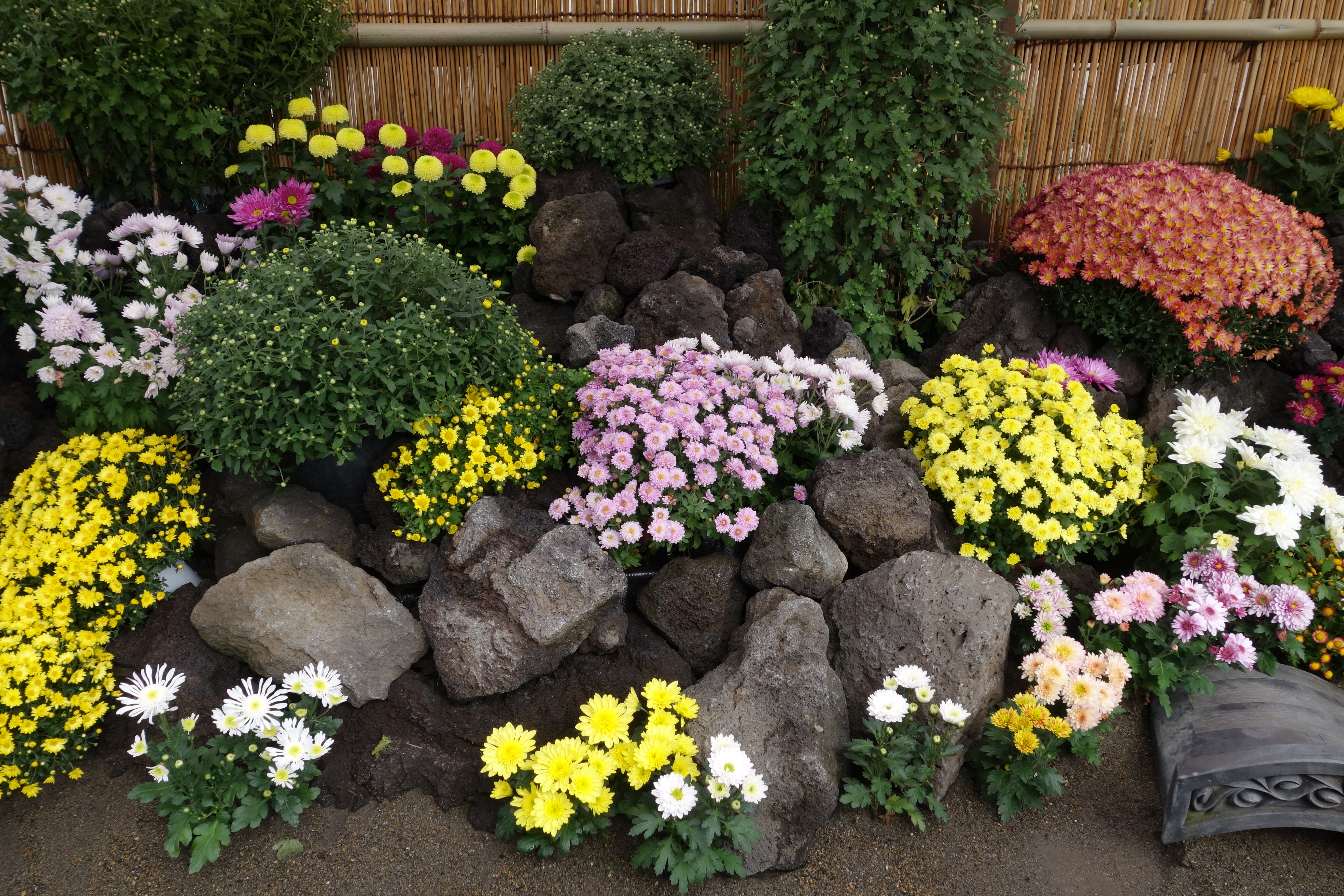 Windows Windows Windows Windows