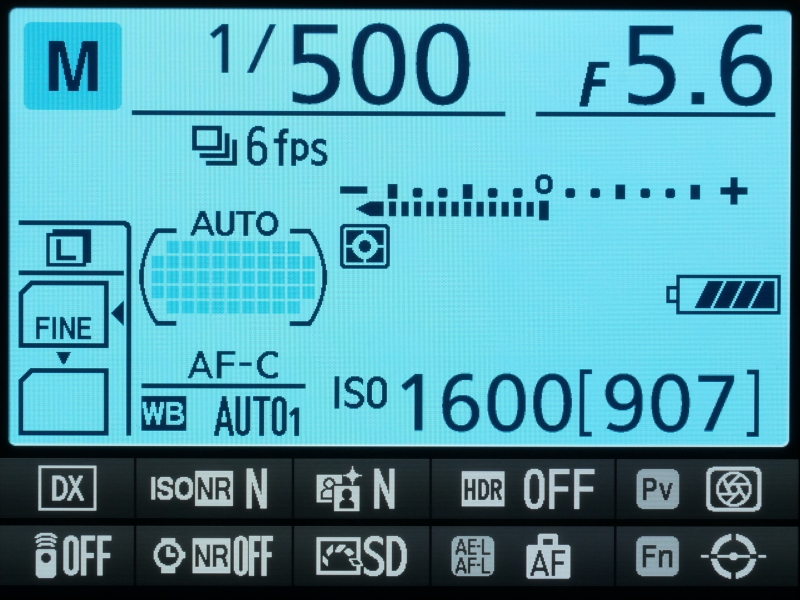 アシカ撮影での各機能の設定(インフォ画面の表示にて)。撮影モード:マニュアル(AF追従チェックのため、絞りは開放値に設定する)、レリーズモード・連続撮影速度:高速連続撮影・約6コマ/秒、AFエリアモード:オートエリアAF、AFモード:AF-C、画像サイズ:L(6,000×4,000ピクセル)、画質モード:FINE、ホワイトバランス:AUTO1(標準)、感度:ISO1600、長秒時ノイズ低減:しない、ピクチャーコントロール:SD(スタンダード)、AE/AFロックボタンの機能:フォーカスロック……など。