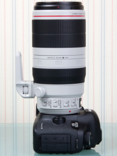 交換レンズレビュー Ef100 400mm F4 5 5 6l Is Ii Usm デジカメ Watch