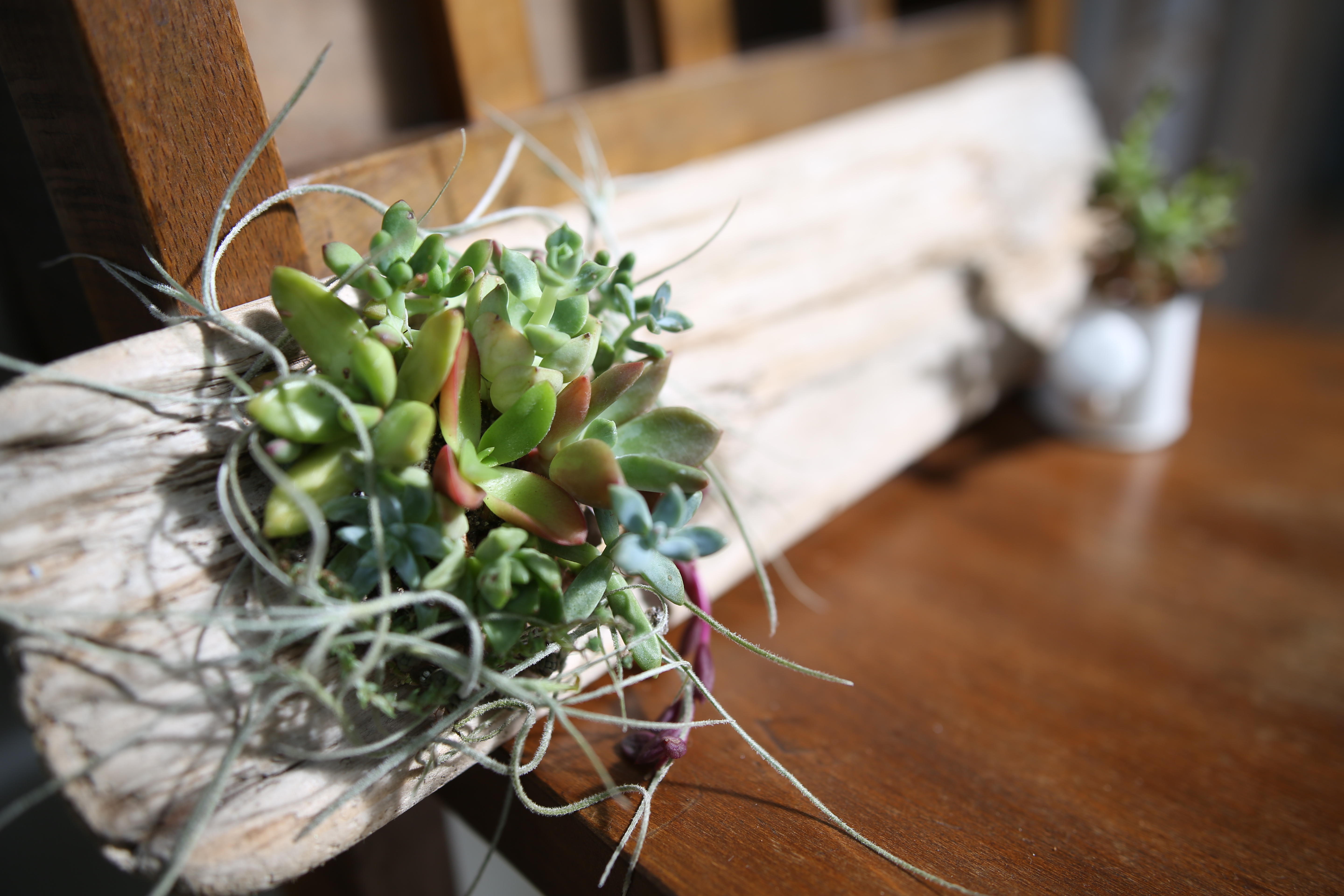 交換レンズレビュー Sigma 24 35mm F2 Dg Hsm Art デジカメ Watch