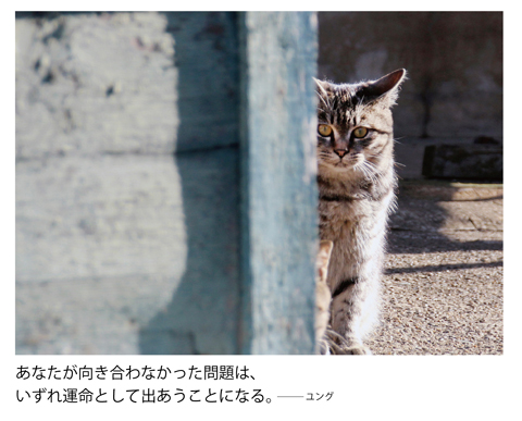 猫に名言 写真展 フロイト ユング アドラーの名言と猫 デジカメ Watch Watch