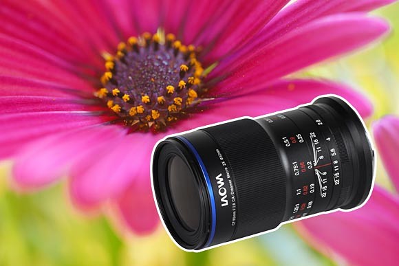 特別企画：“超”マクロ撮影を小型軽量レンズで…「LAOWA 65mm f/2.8 2x