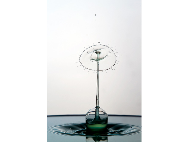 水滴をぶつけて描く 水のモンスター 5月号特集 家で撮る写真 より 水滴アートの撮り方 デジカメ Watch