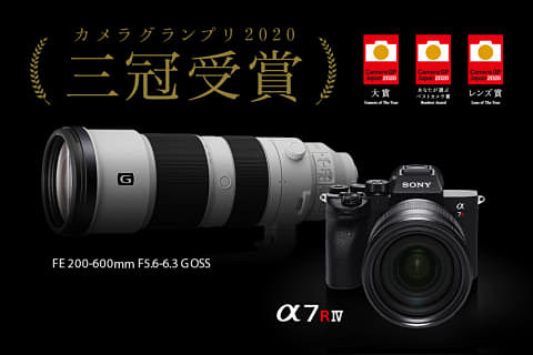 ★Nikon★F-401・F60ボディ2台＋ズ-ムレンズ/フイルムカメラ