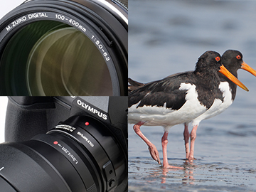 新製品レビュー：OLYMPUS M.ZUIKO DIGITAL ED 100-400mm F5.0-6.3 IS ...