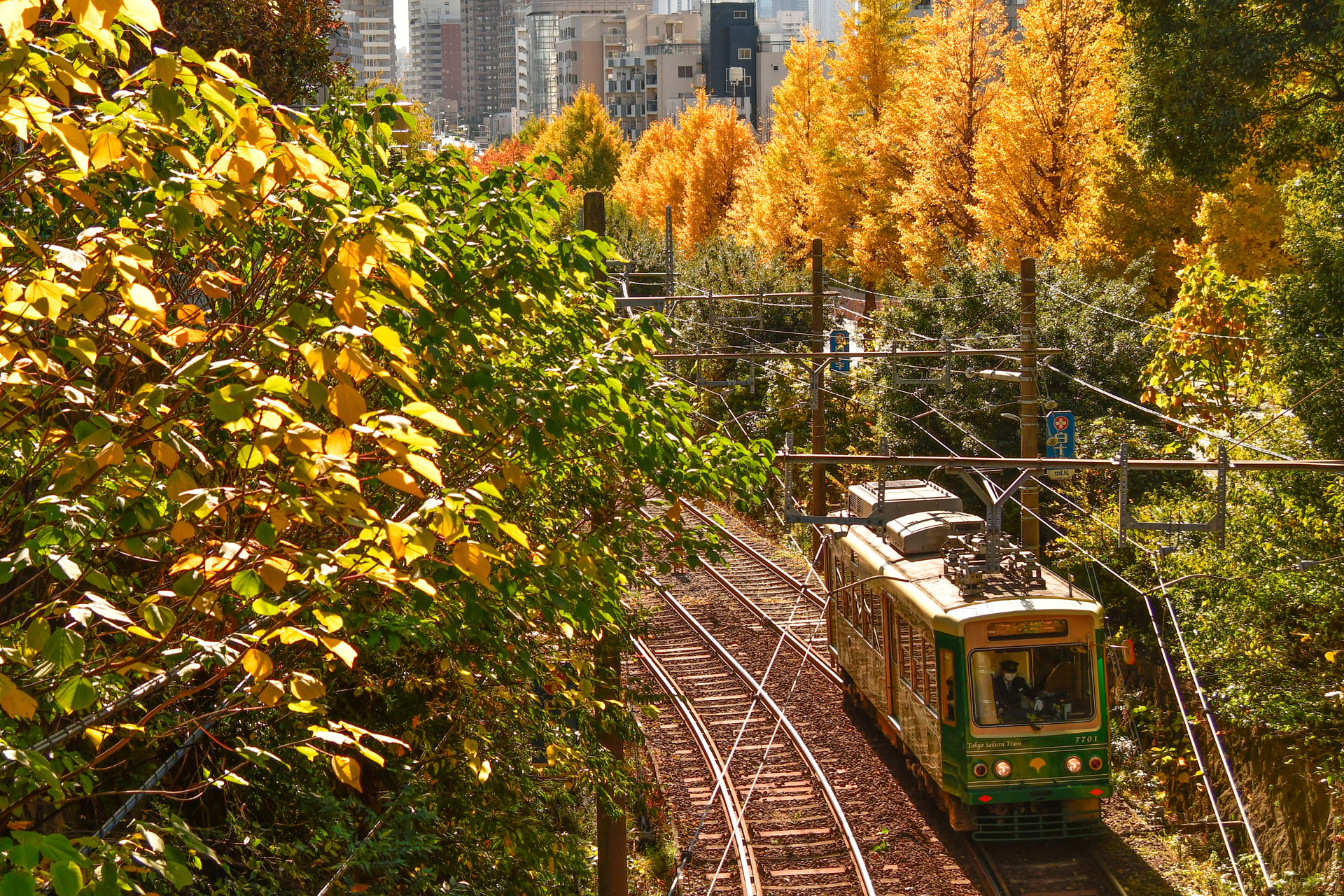 中井精也のエンジョイ鉄道ライフ「ジョイテツ！」：初心者でも楽しく