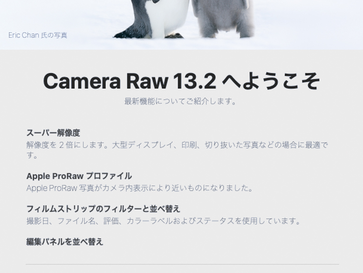 Adobe Camera Rawに スーパー解像度 機能が追加 デジカメ Watch