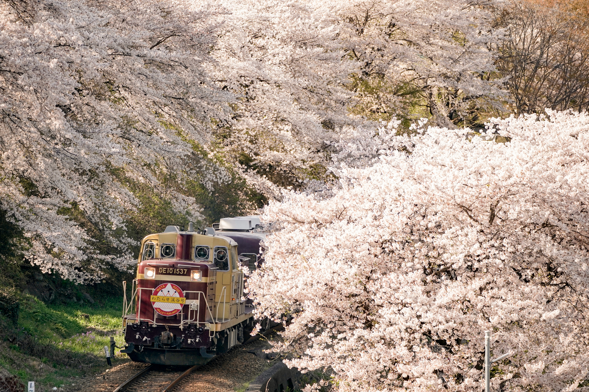 中井精也のエンジョイ鉄道ライフ「ジョイテツ！」：ゆる鉄探訪 第2回「わたらせ渓谷鐵道」 - デジカメ Watch