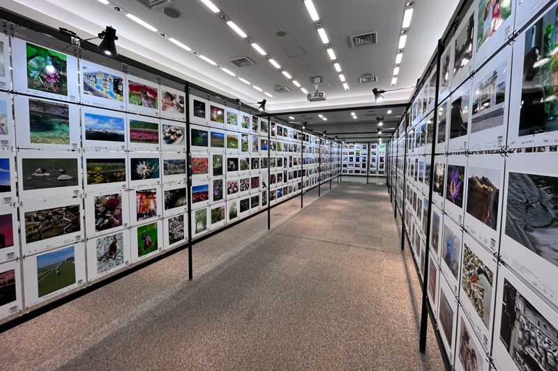 富士フイルム、東京・大阪で開催「“PHOTO IS”想いをつなぐ。あなたが