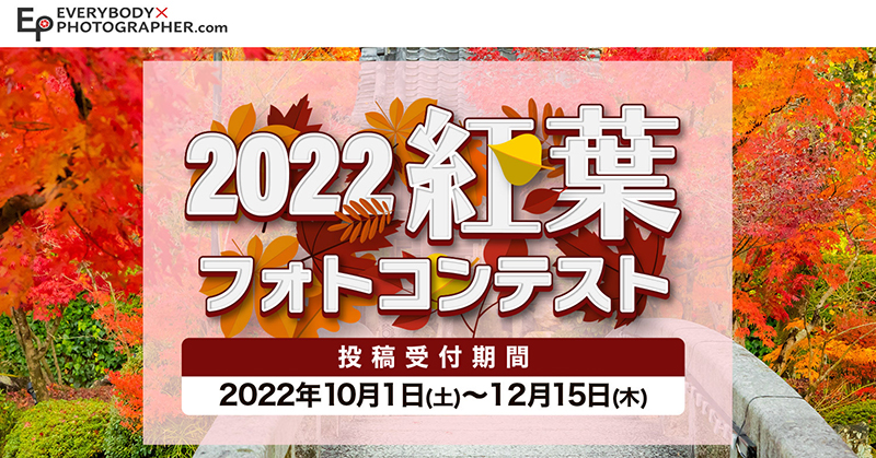 注文 銘仙百選フォトコンテストグランプリ受賞作品（秋の空）