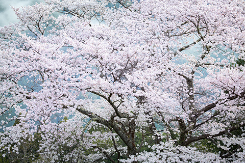 竹沢うるま写真展：World Heritage Journey 世界遺産を訪ねて