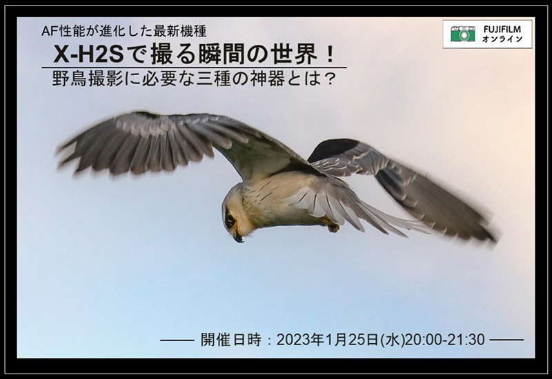 イベント告知】X-H2Sで撮る瞬間の世界！ 野鳥撮影に必要な三種の神器と
