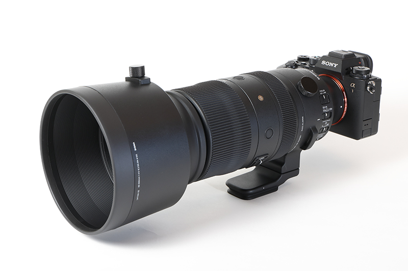 交換レンズレビュー：SIGMA 60-600mm F4.5-6.3 DG DN OS | Sports