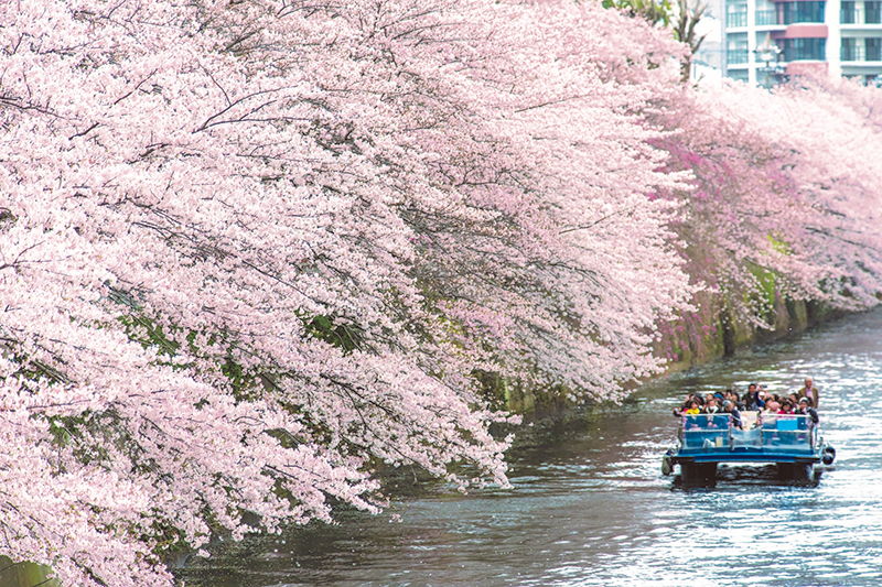 No4827額装　マリー・クライン　シルクスクリーン　花のある川辺風景　送料無料 No4827額装 マリー・クライン シルクスクリーン 花のある川辺風景 送料