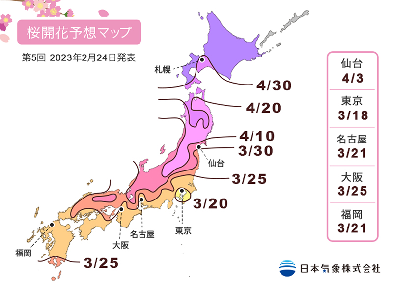 第5回目の2023年桜開花予想が発表「平年並みか平年より早め」…東京は3