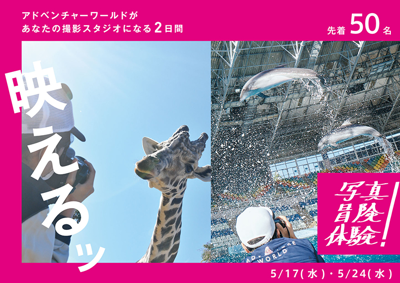 イベント告知】イルカ、キリン、ホワイトタイガーを“普段は入れない