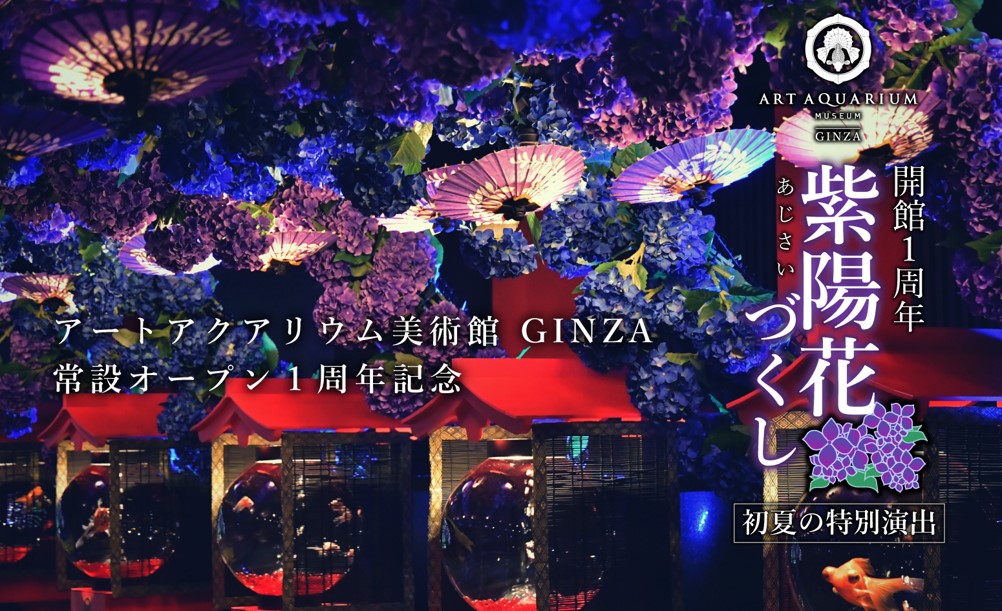 イベント告知】アートアクアリウム美術館 GINZAで特別演出「紫陽花