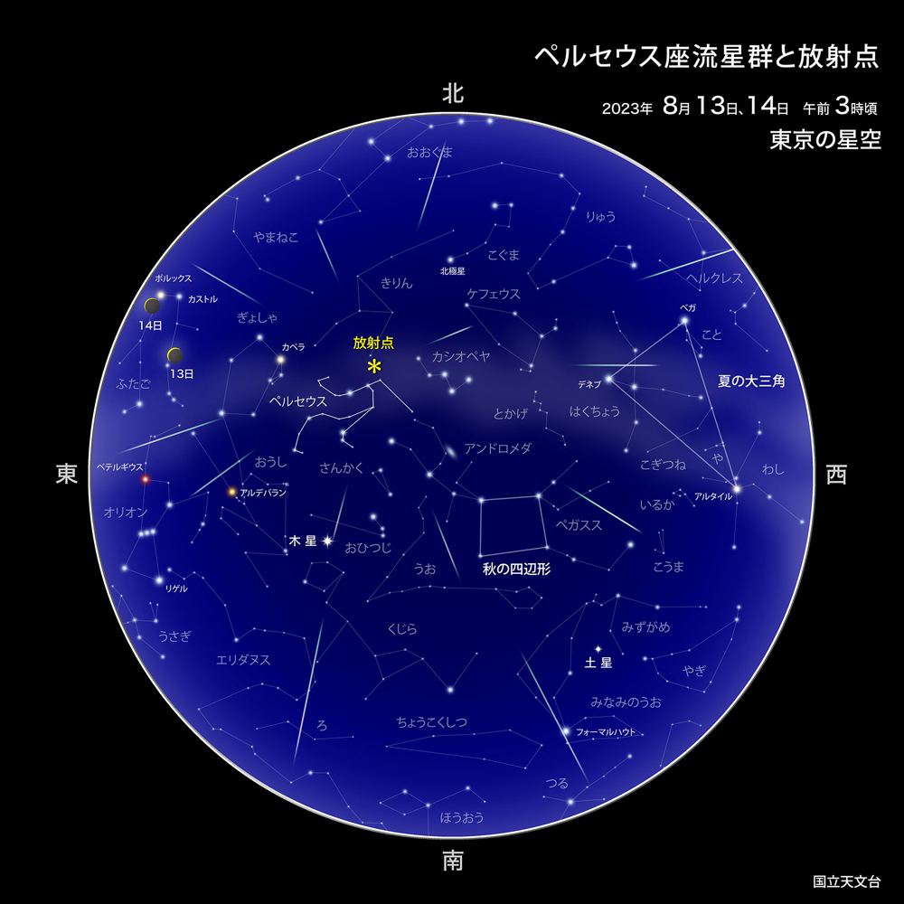 ペルセウス座流星群、8月13日に極大。“流星のピークは夜明け近く