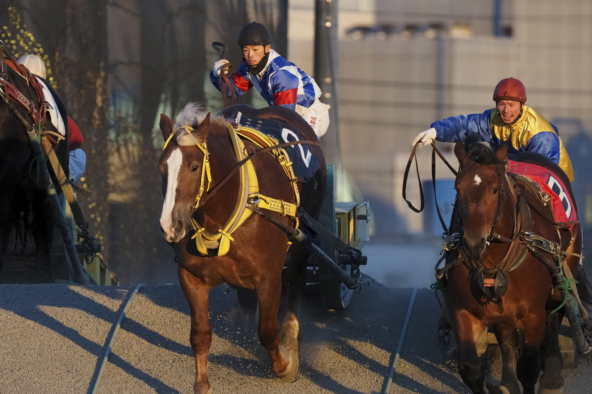 山岸伸の「写真のキモチ」 第54回：北海道遺産 ばんえい競馬