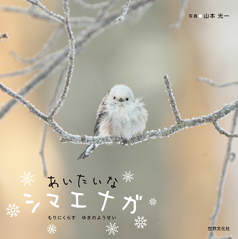 じゃれねこ『2月☆56 雪景色×シマエナガ』発光☆ 【公式通販】