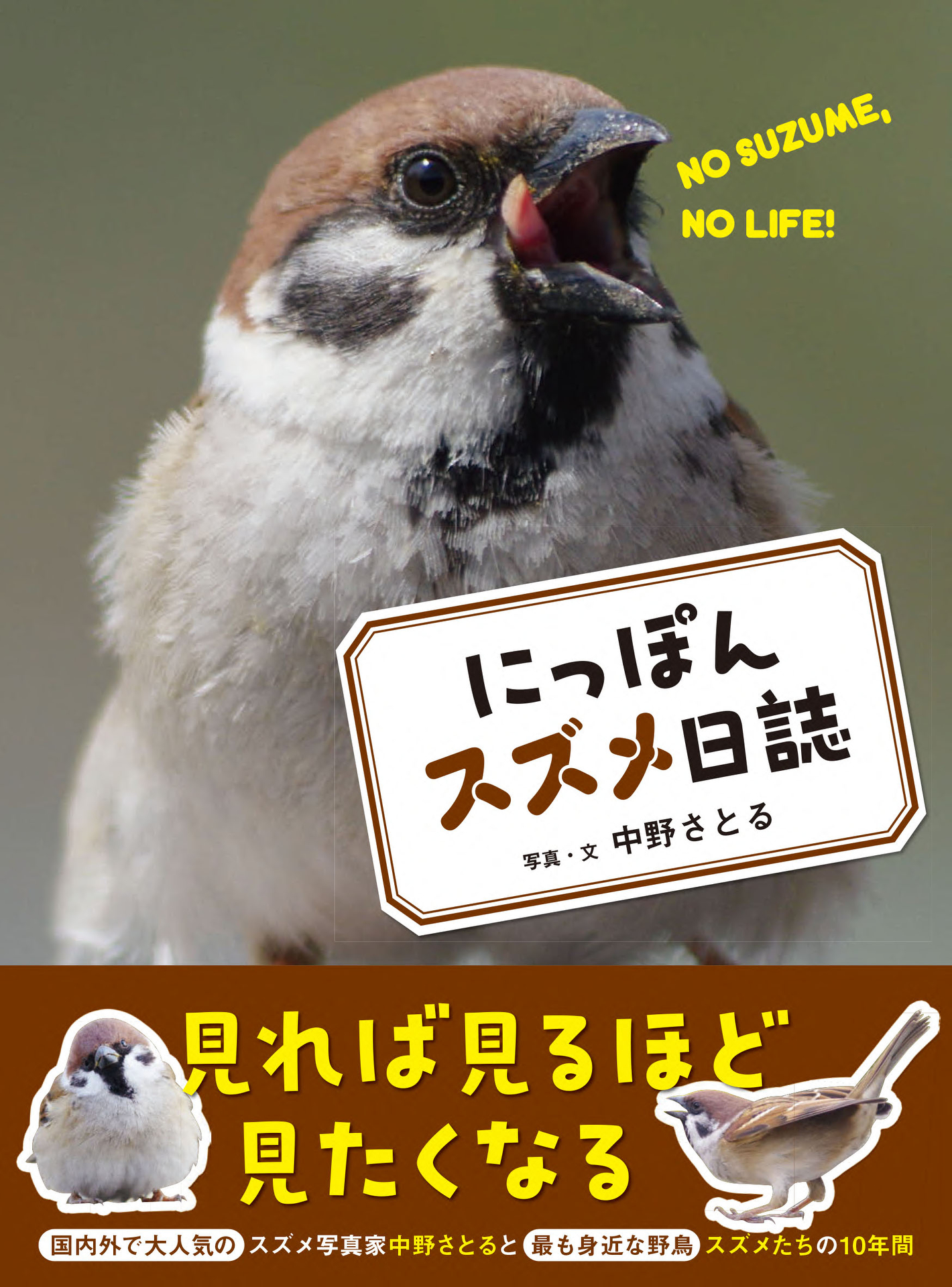 スズメ写真家・中野さとる氏が撮影した10年の記録「にっぽんスズメ日誌