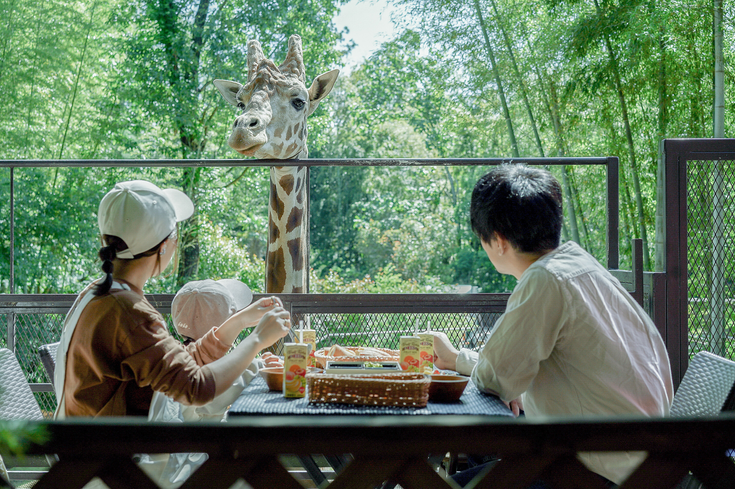 千葉県のグランピング施設「THE BAMBOO FOREST」で、キリンと一緒に