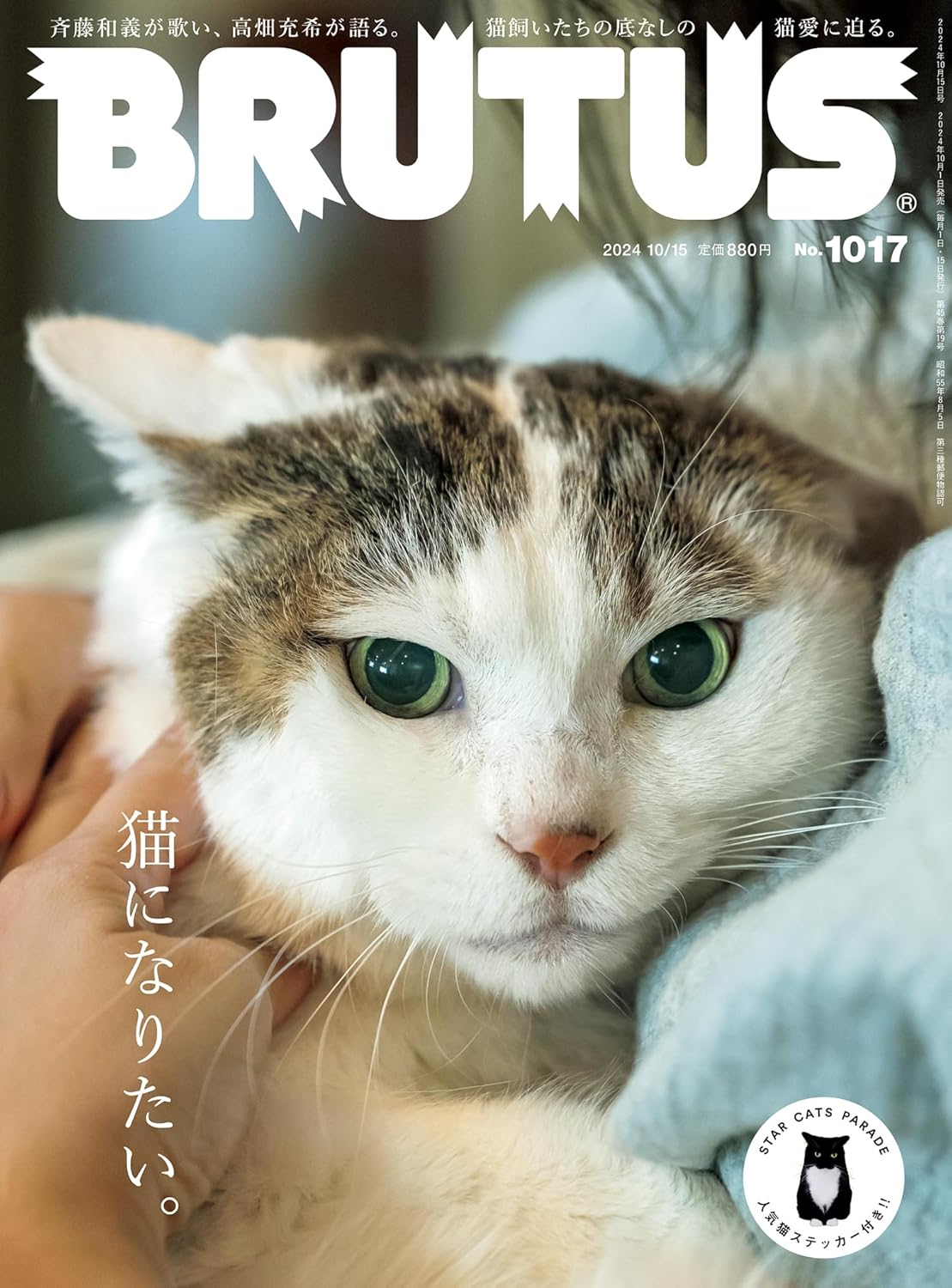 岡嶋和幸の「あとで買う」：1,256点目：猫写真好きも楽しめるBRUTUS