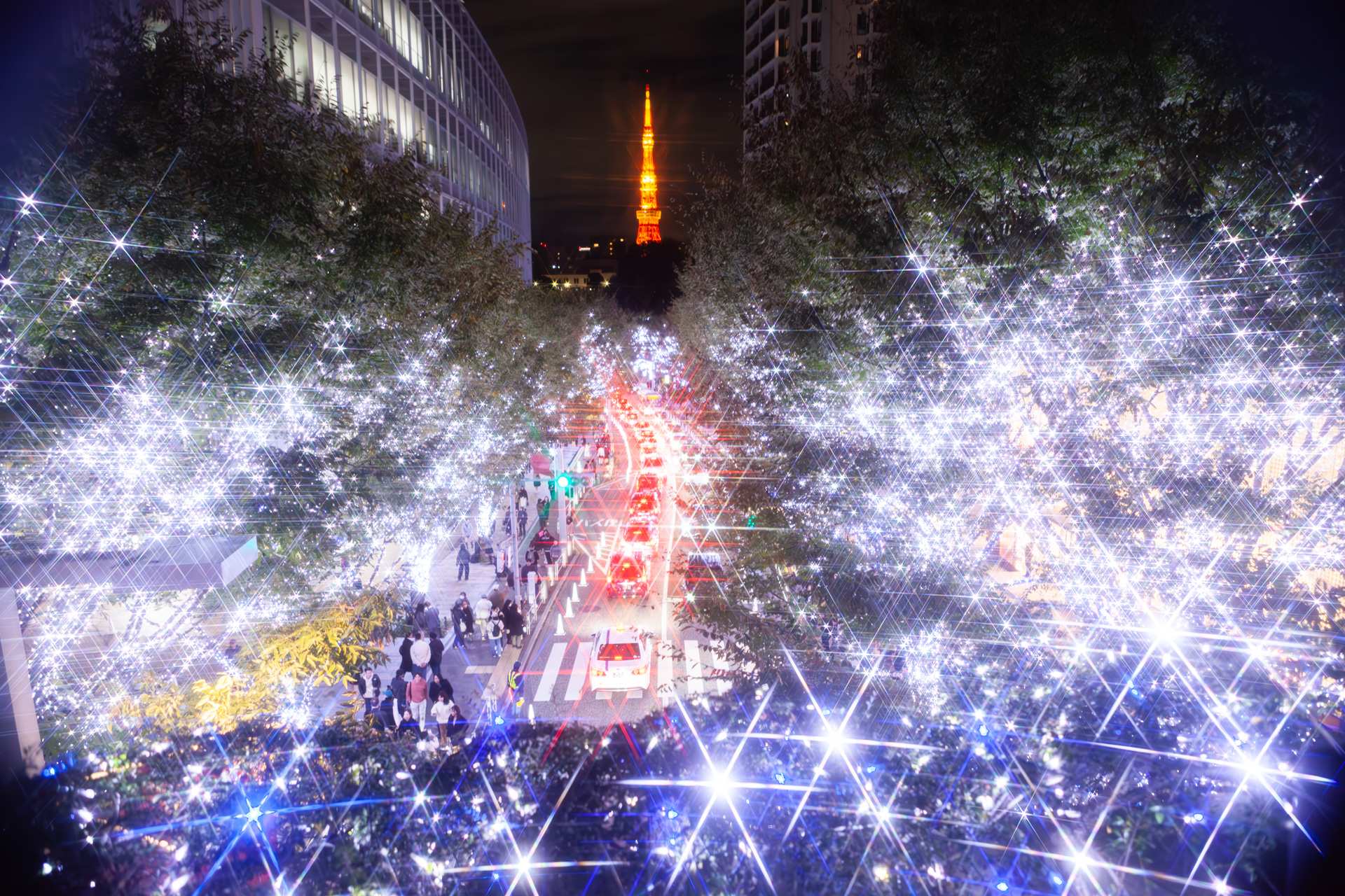 イベント告知】約90万灯のLEDが輝く／六本木ヒルズの「けやき坂