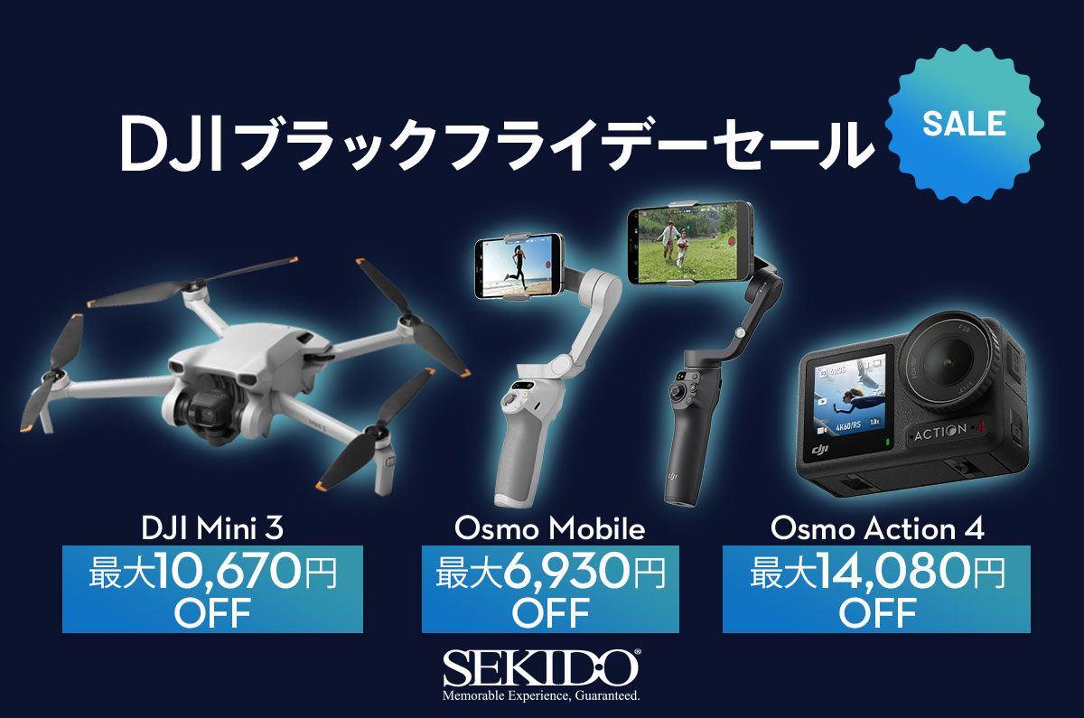 本日限定お値引きセール中】DJI Smart Controller