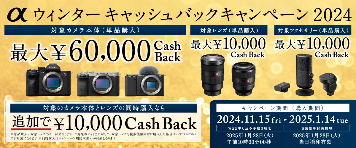 実施中の「キャッシュバックキャンペーン」を解説】【2024年冬】ソニー
