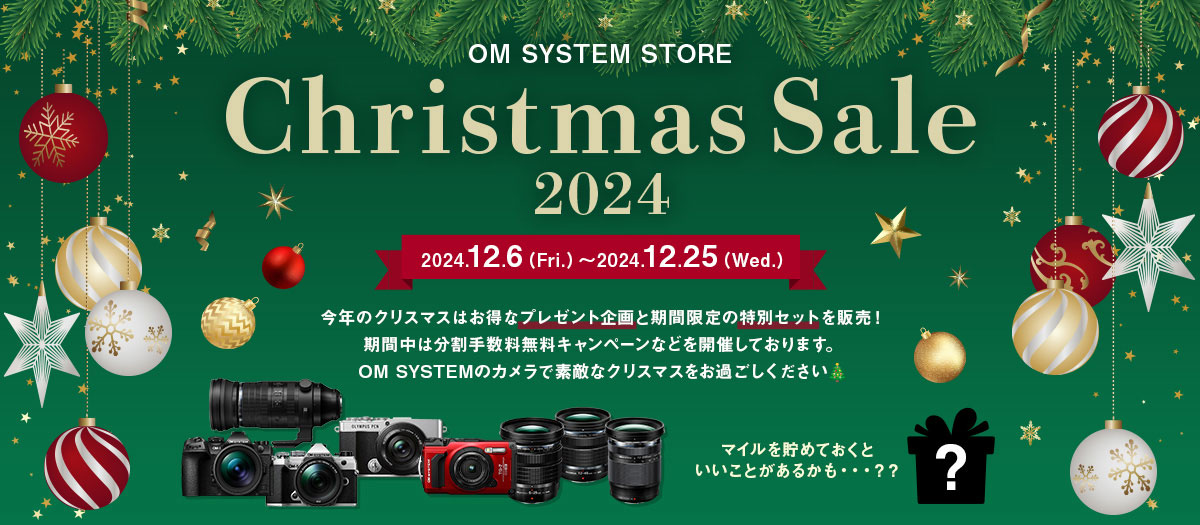 ＊クリスマスSALE＊ヴァイオリン＊ 文京楽器オンライン ストア SUPER SUMMER SALE 2022｜バイオリン