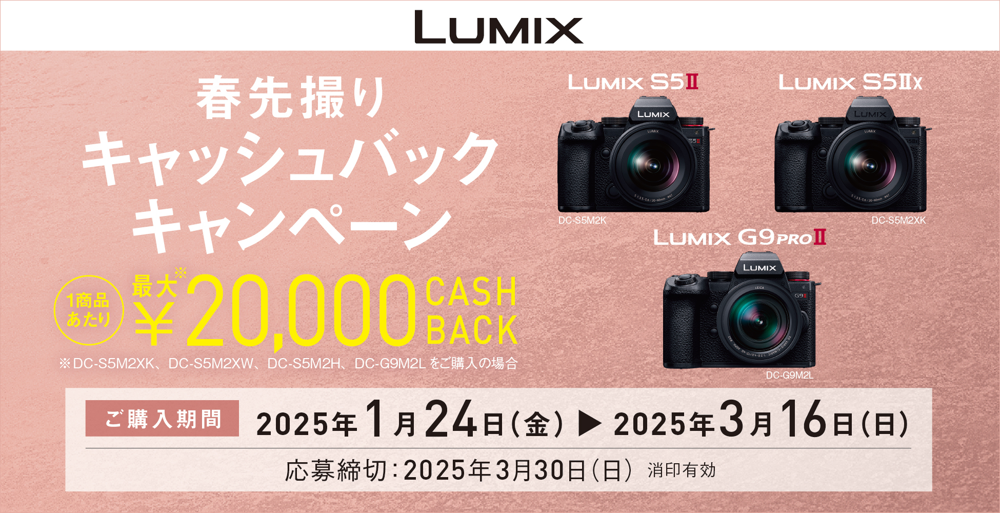 キャンペーン】パナソニック「S5II」「S5IIx」「G9PROII」購入で最大2