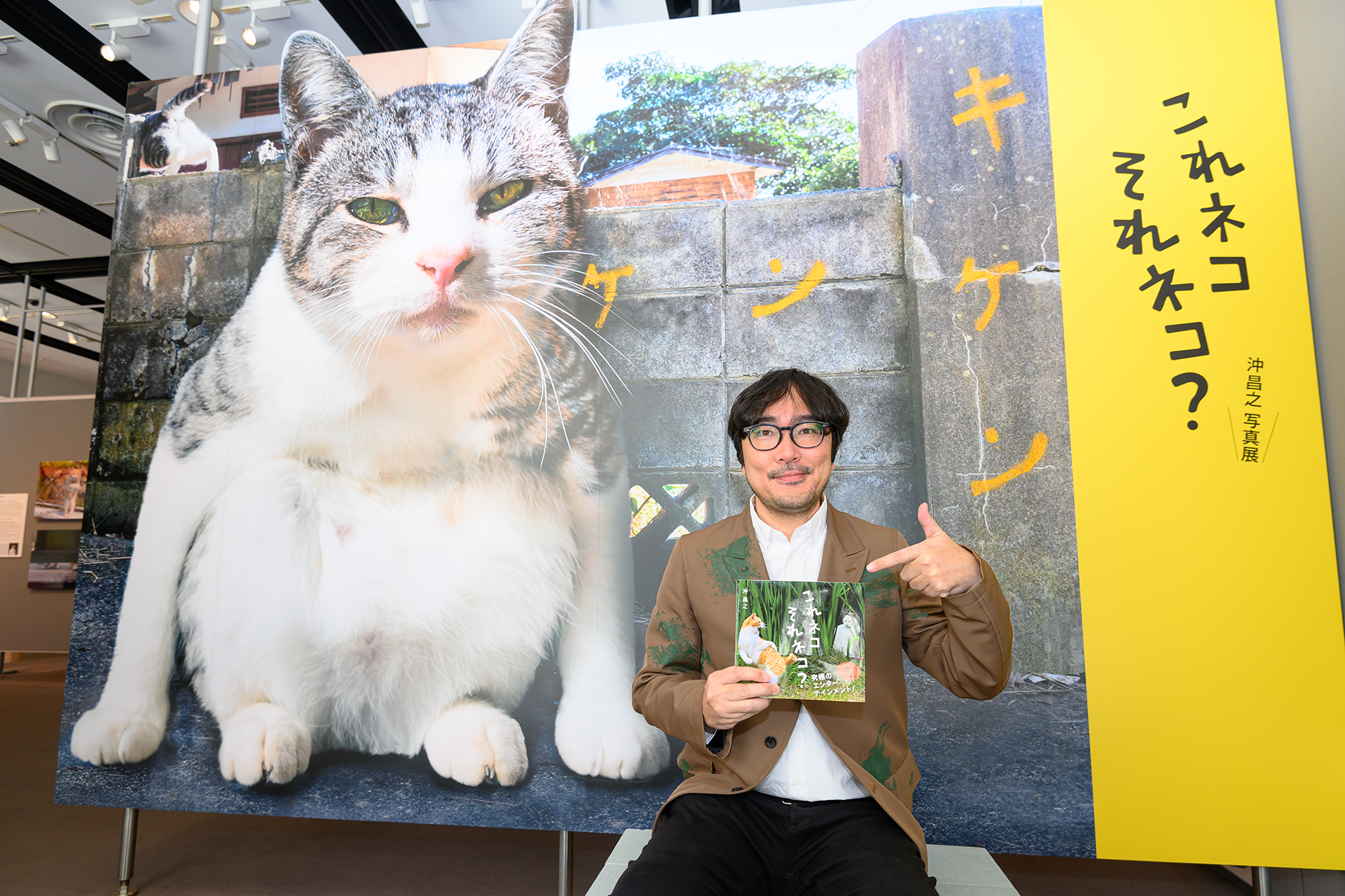 写真展レポート】猫写真家・沖昌之氏の新作が並ぶ「これネコ それネコ