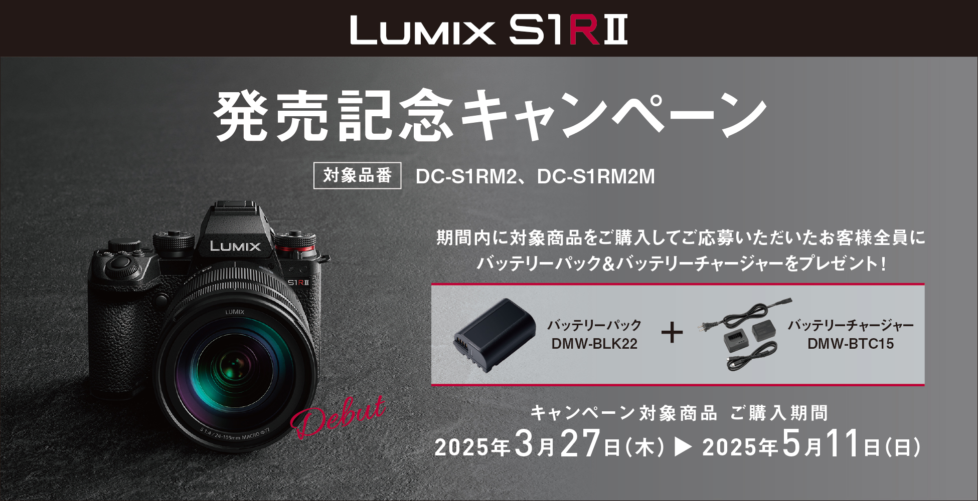 LUMIX S1 ミラーレス一眼カメラ 本体とバッテリー3個 掲載2月28